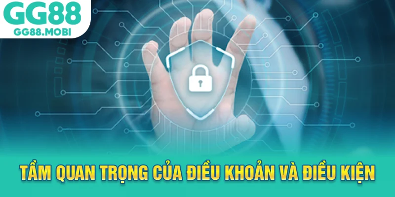 Tầm quan trọng của điều khoản và điều kiện