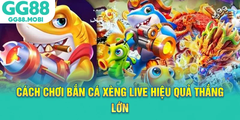 Cách chơi bắn cá xèng live hiệu quả thắng lớn