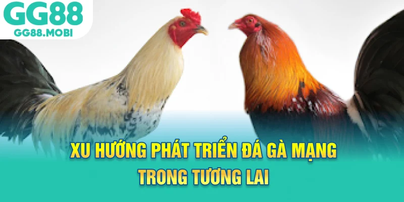 Xu hướng phát triển đá gà mạng trong tương lai